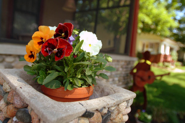 garden4